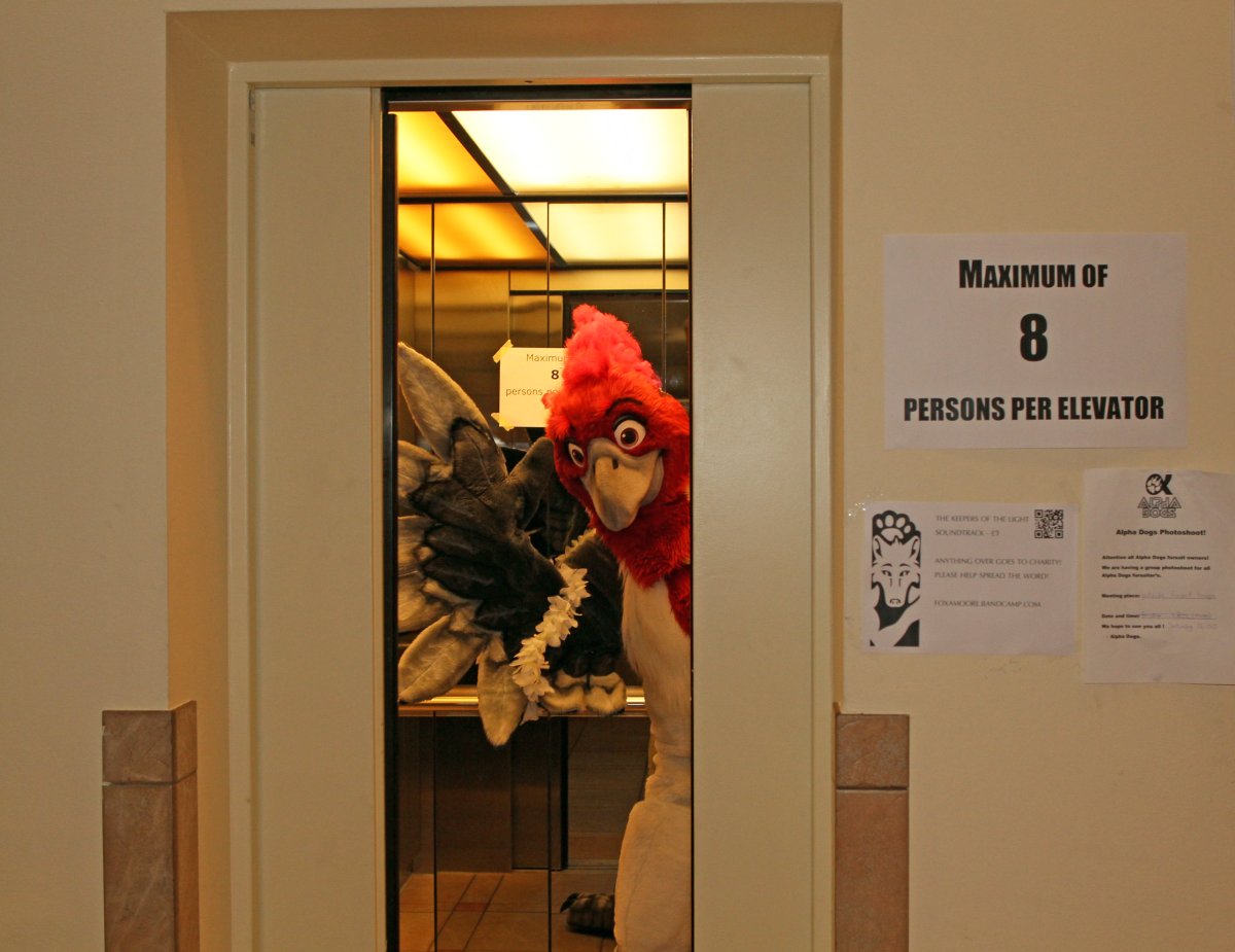 Eurofurence 20