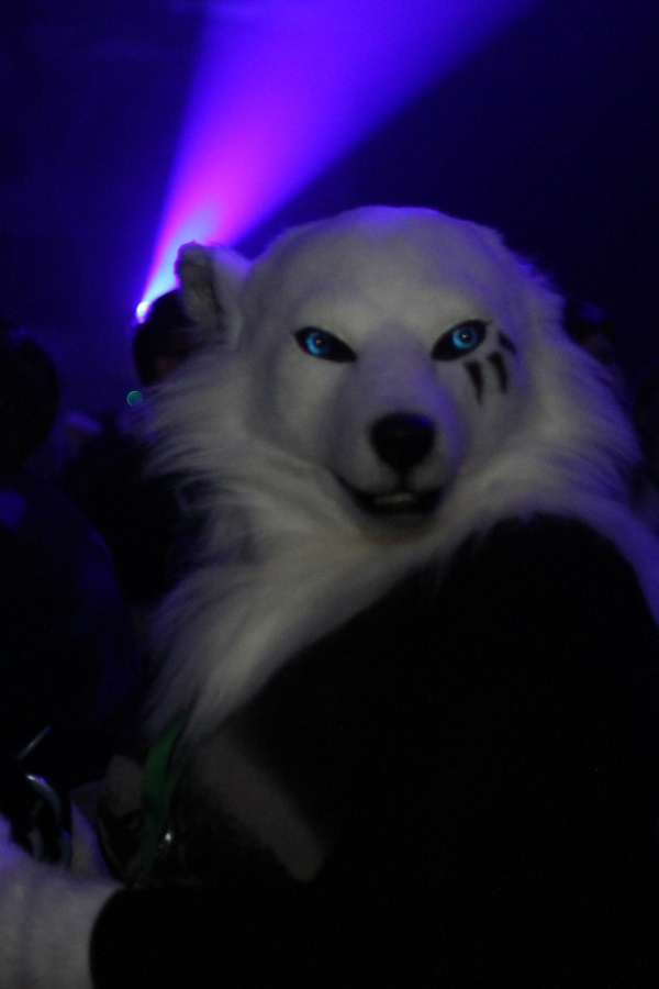 Eurofurence 21