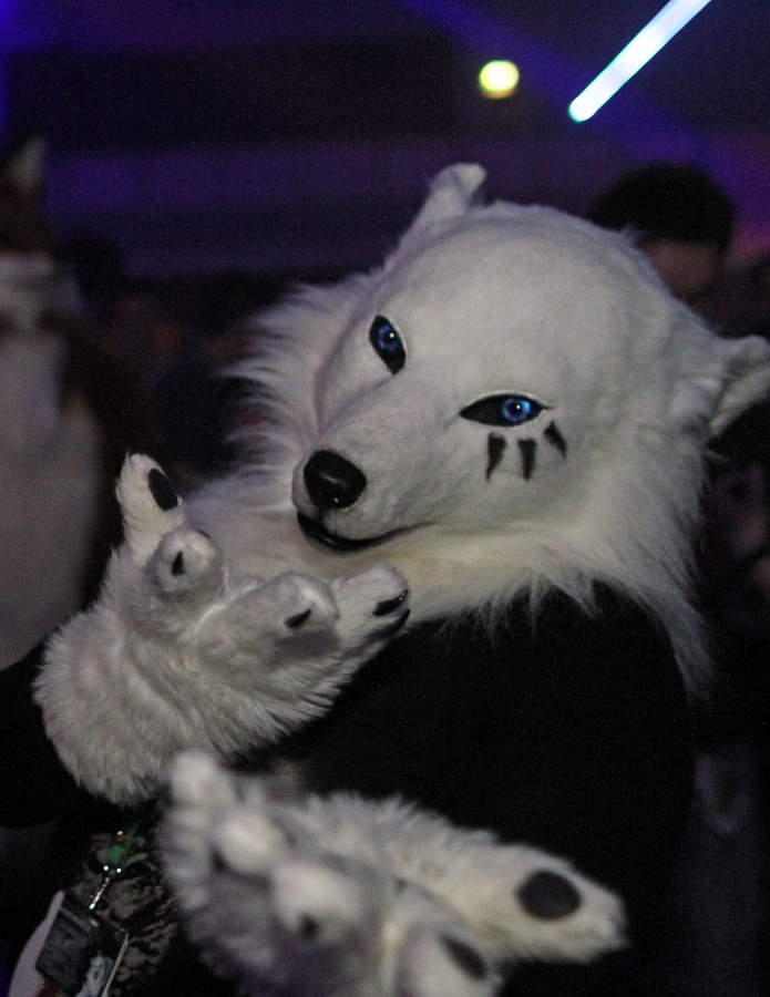 Eurofurence 21, Dances