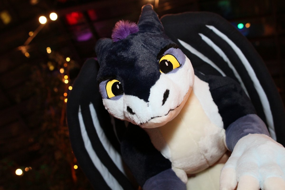 Eurofurence 21, Other photos