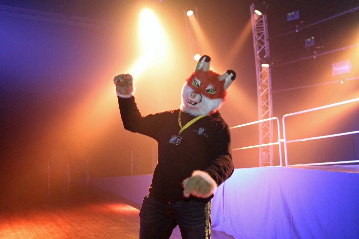 Eurofurence 21, Dances