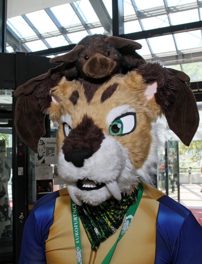 Eurofurence 21, Other photos