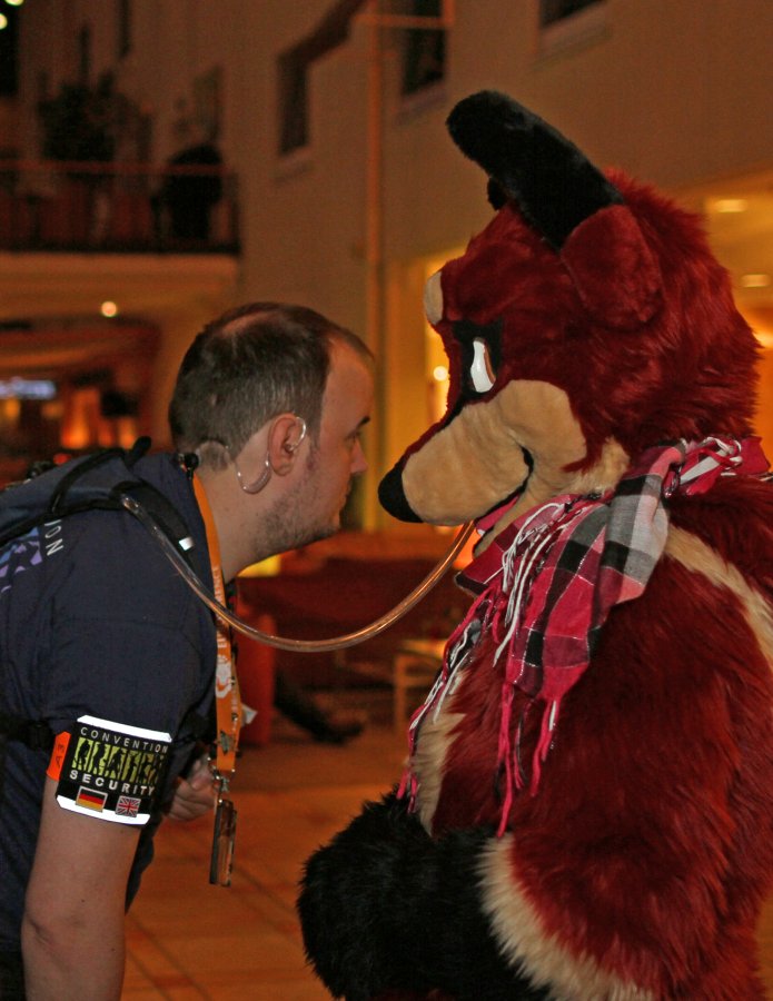 Eurofurence 21, Other photos