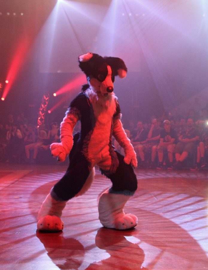 Eurofurence 21, Dances