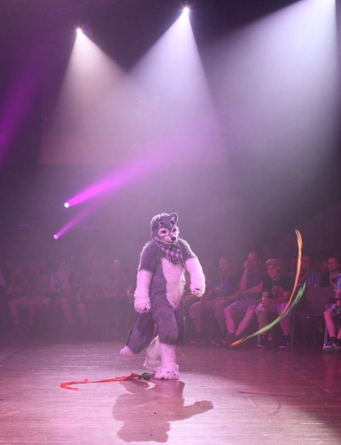 Eurofurence 21, Dances