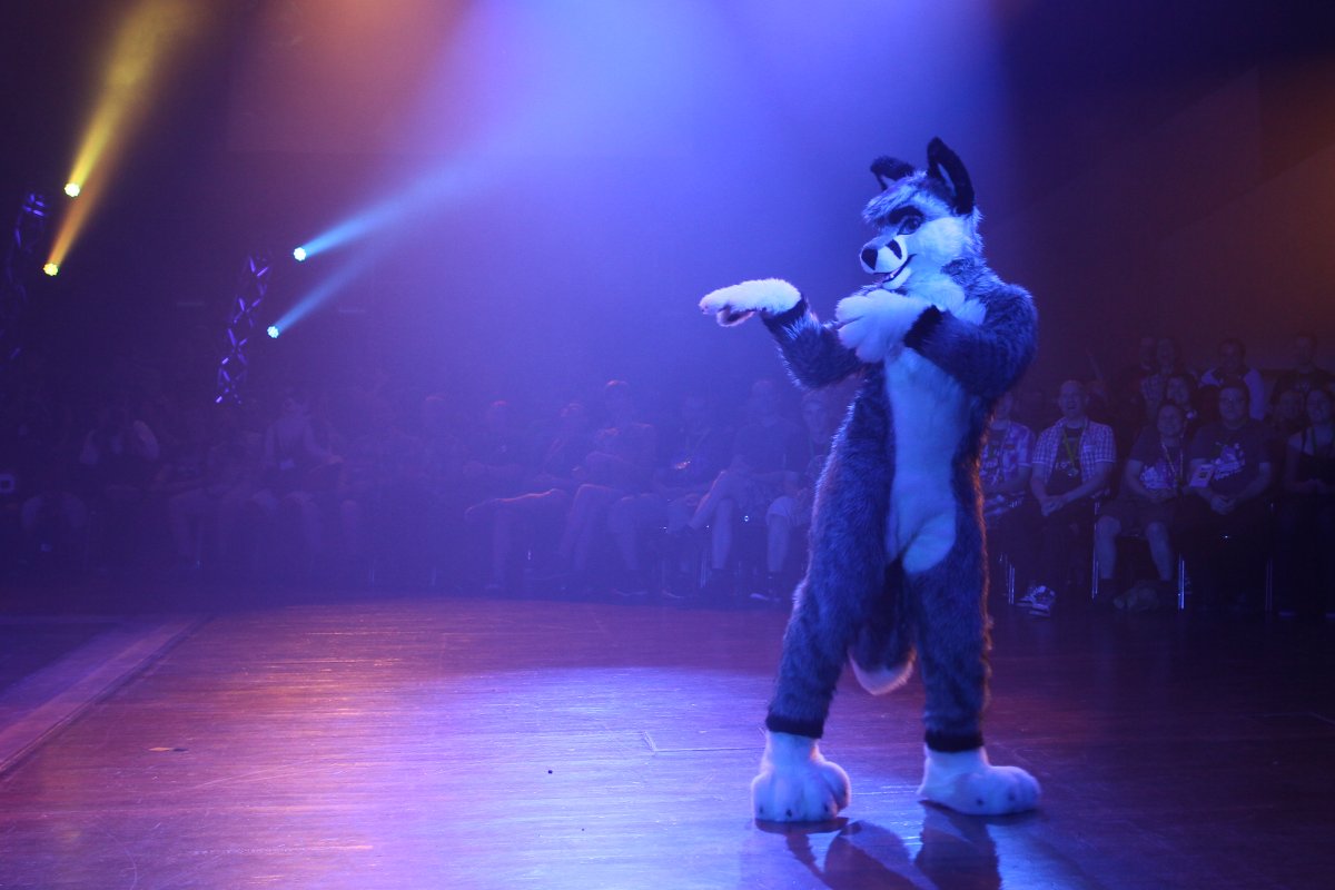 Eurofurence 21, Dances