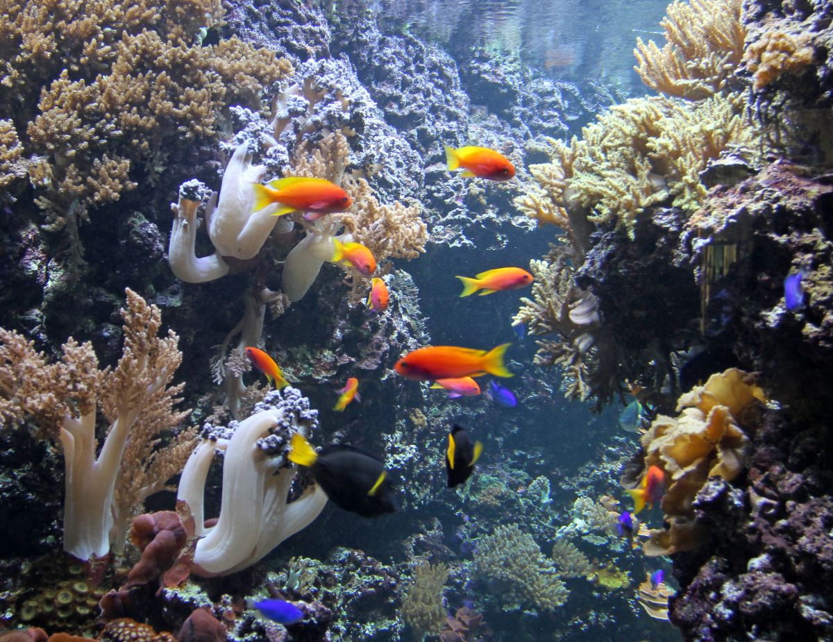 Eurofurence 22, Berlin Zoo