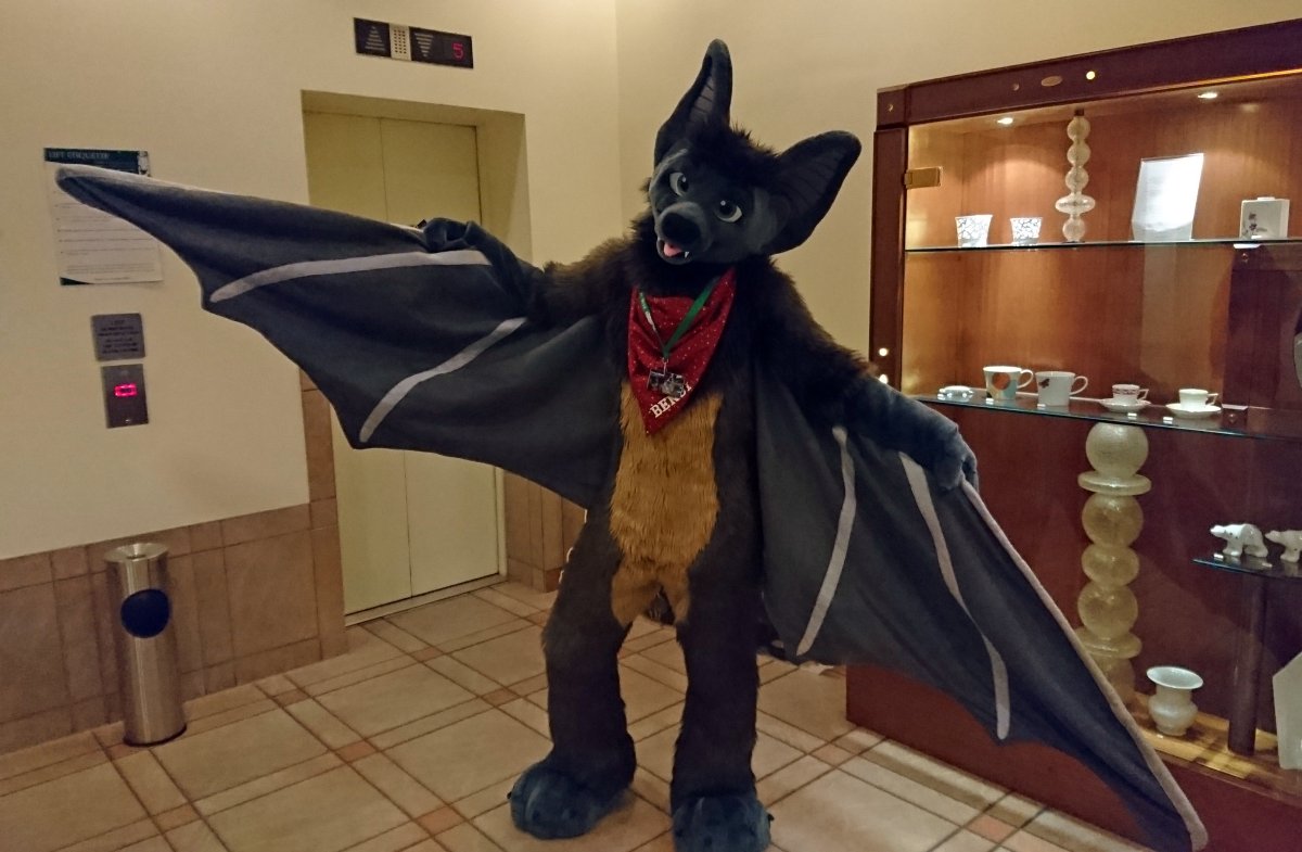 Eurofurence 22, Indoors