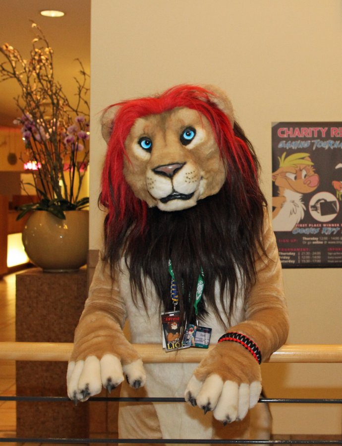 Eurofurence 22, Indoors