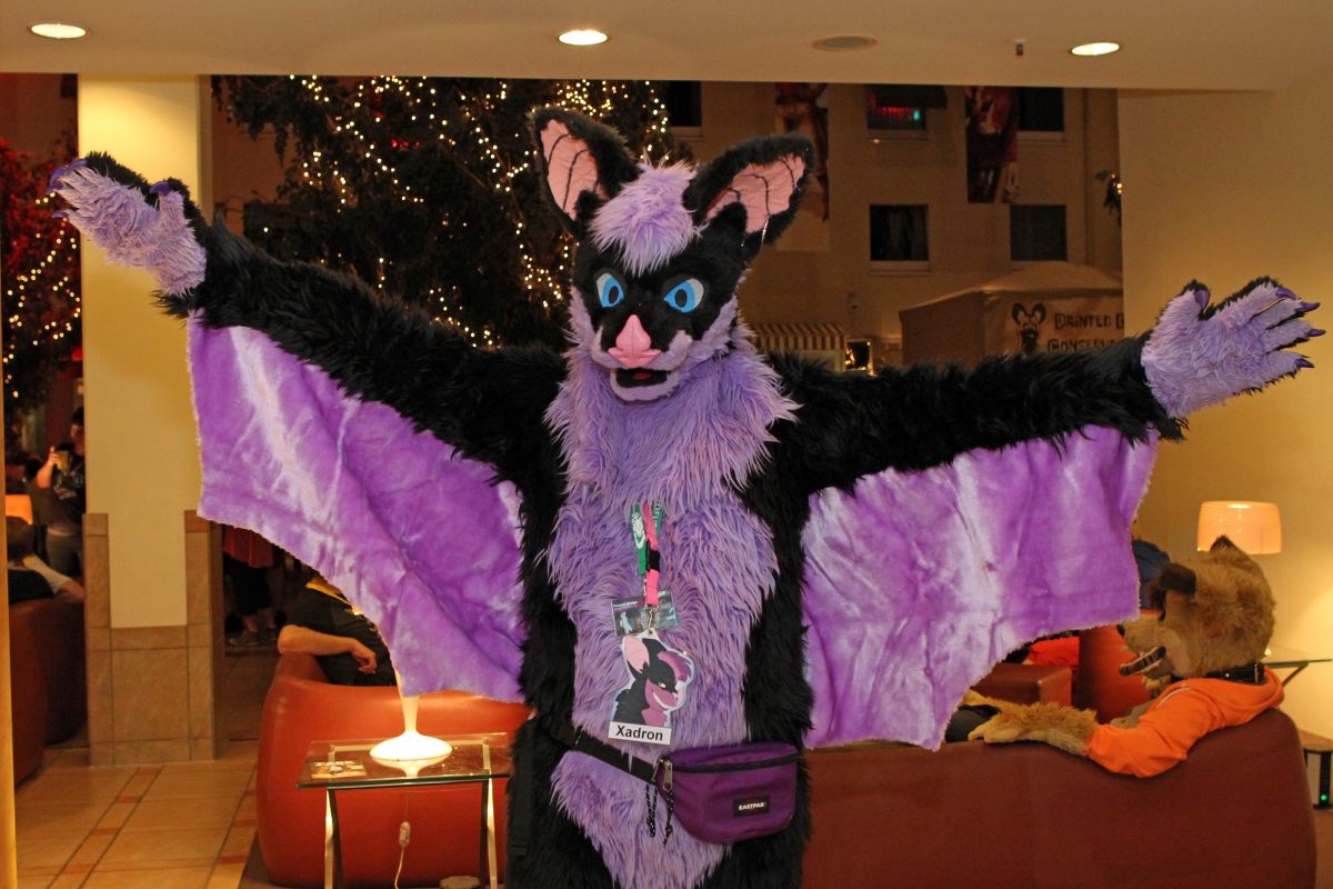 Eurofurence 22, Indoors
