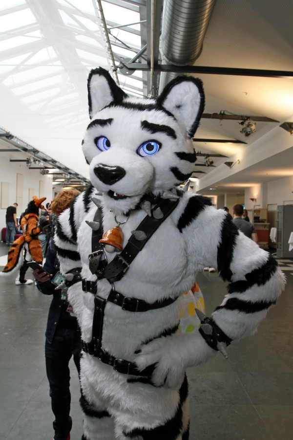 Eurofurence 22, Indoors