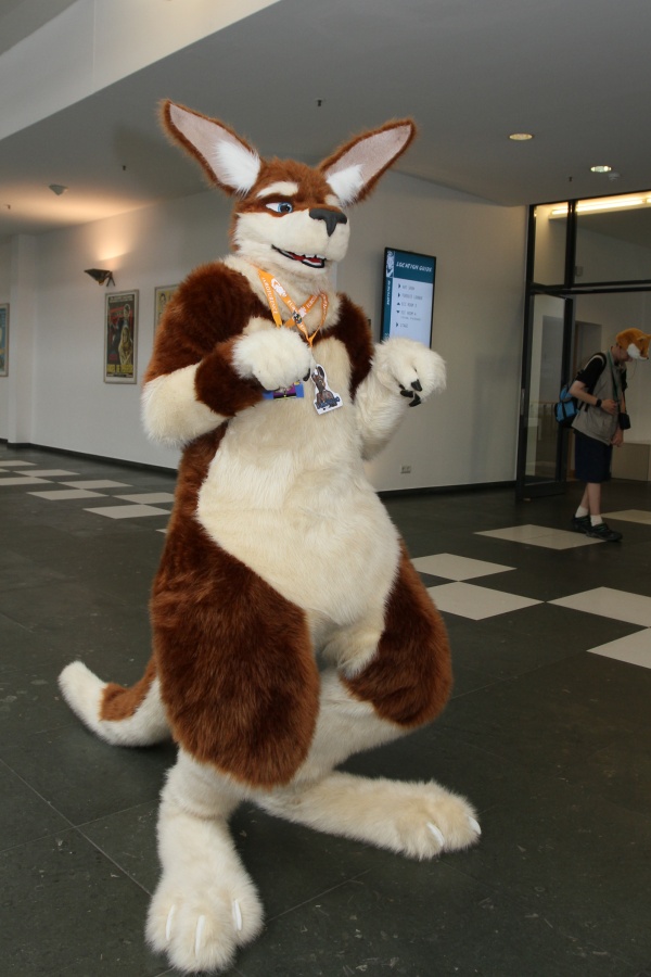 Eurofurence 22, Indoors