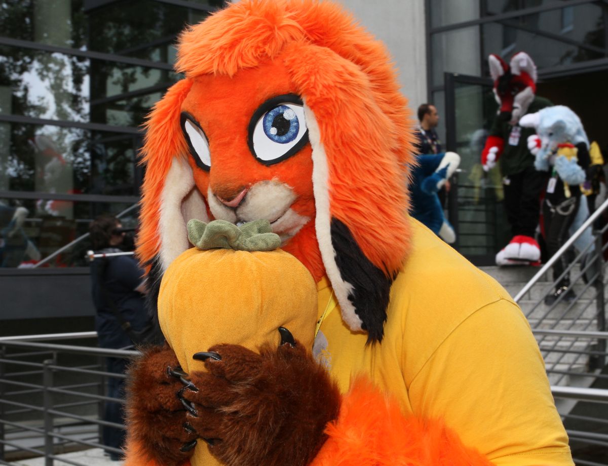 Eurofurence 22, Outdoors