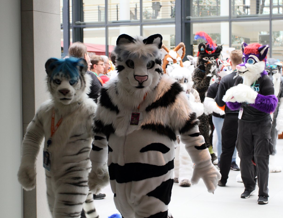 Eurofurence 22, Indoors