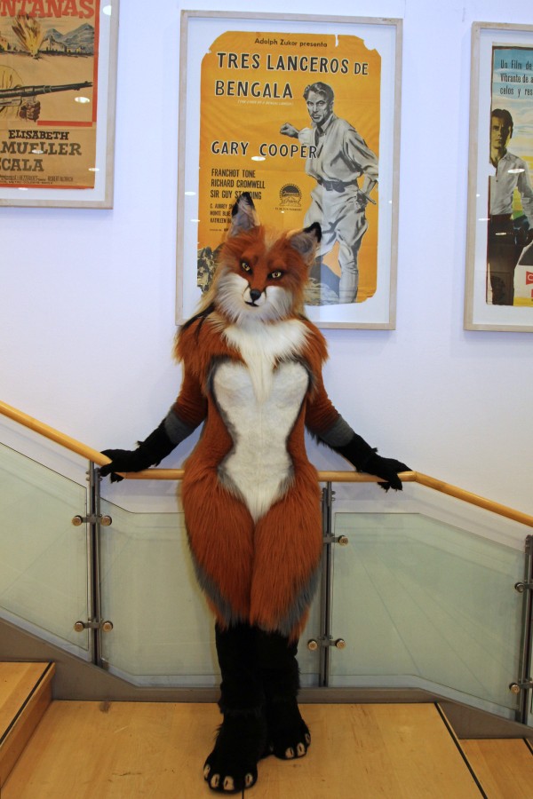 Eurofurence 22, Indoors