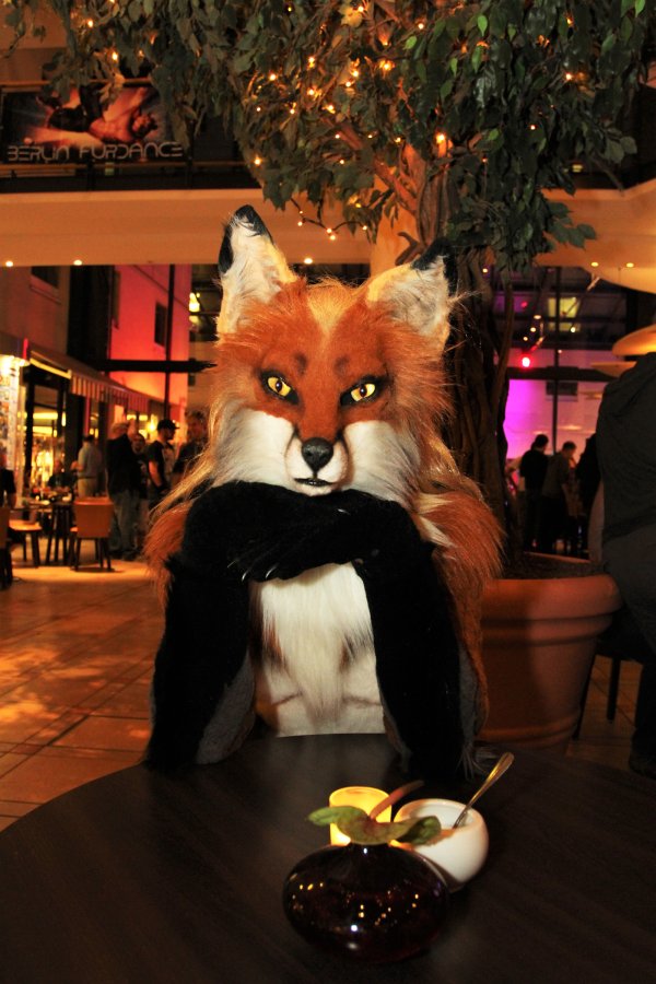 Eurofurence 22, Indoors