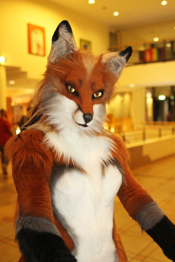 Eurofurence 22, Indoors