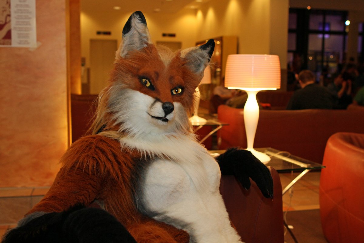 Eurofurence 22, Indoors