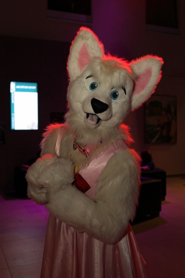 Eurofurence 22, Indoors