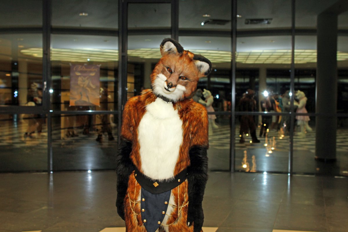 Eurofurence 22, Indoors