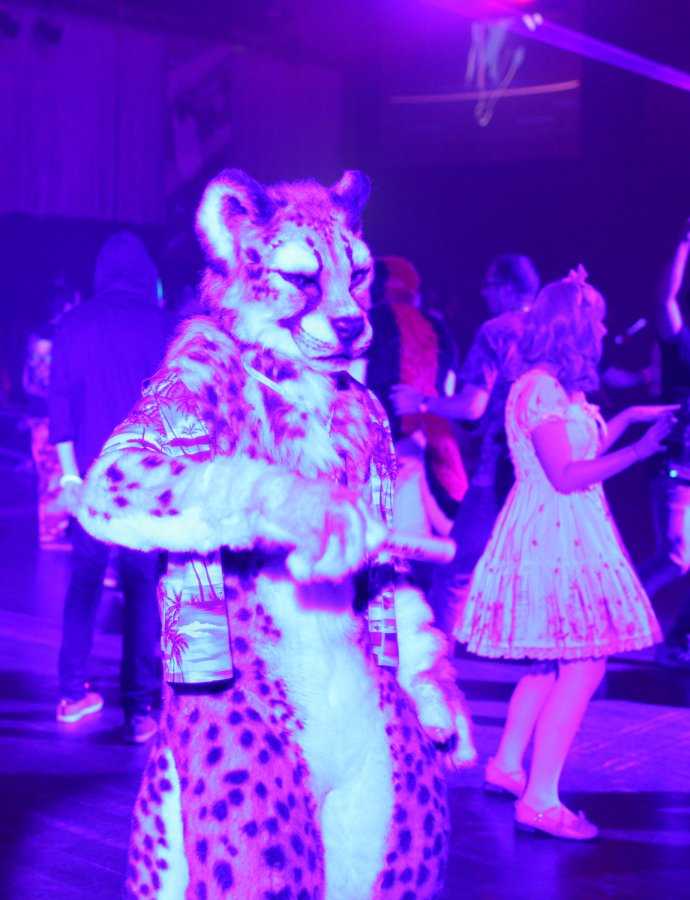 Eurofurence 22, Other photos