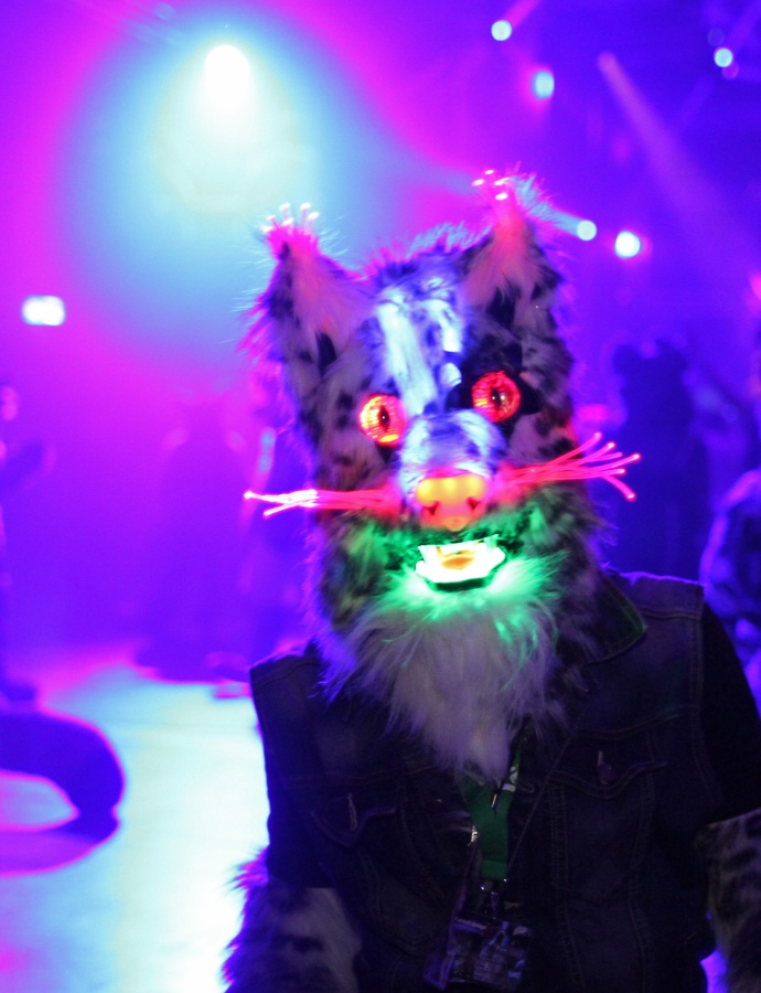Eurofurence 22, Other photos