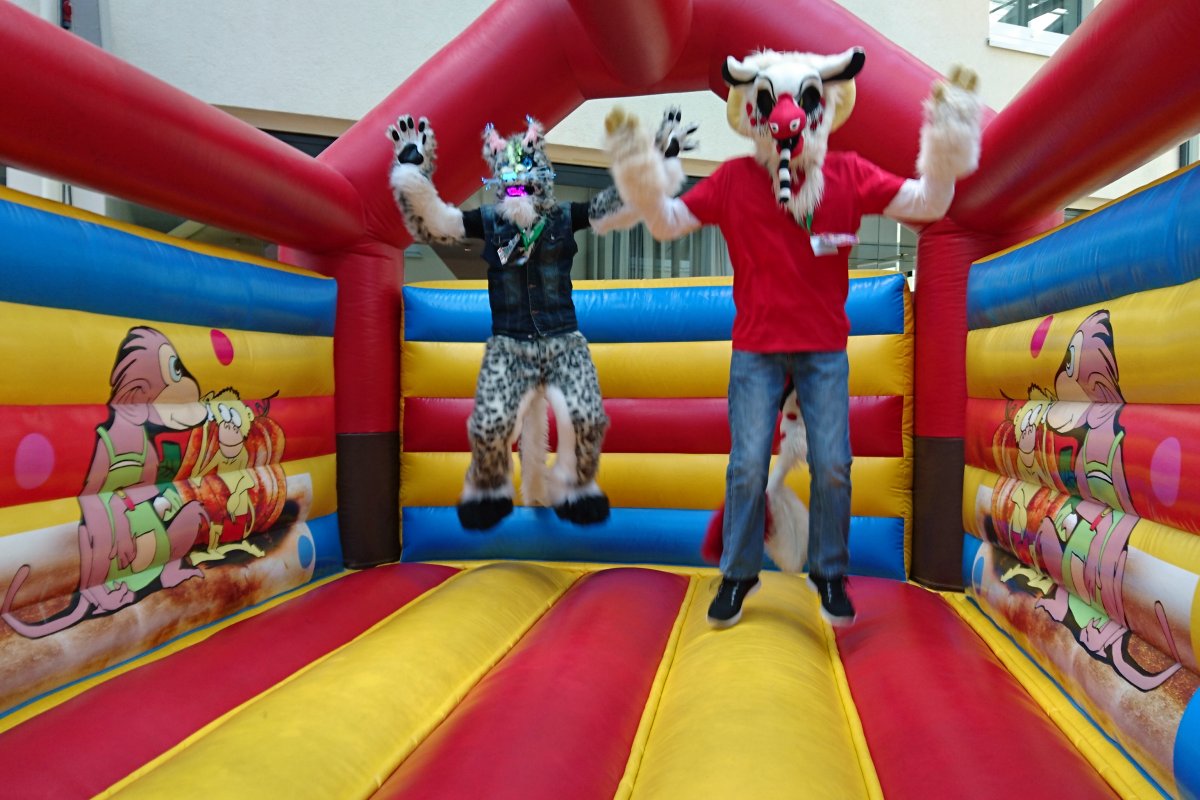 Eurofurence 22, Indoors