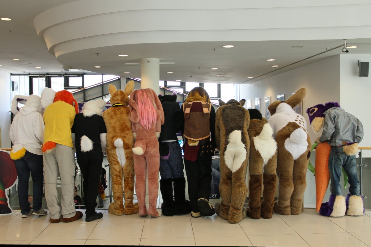 Eurofurence 22, Indoors