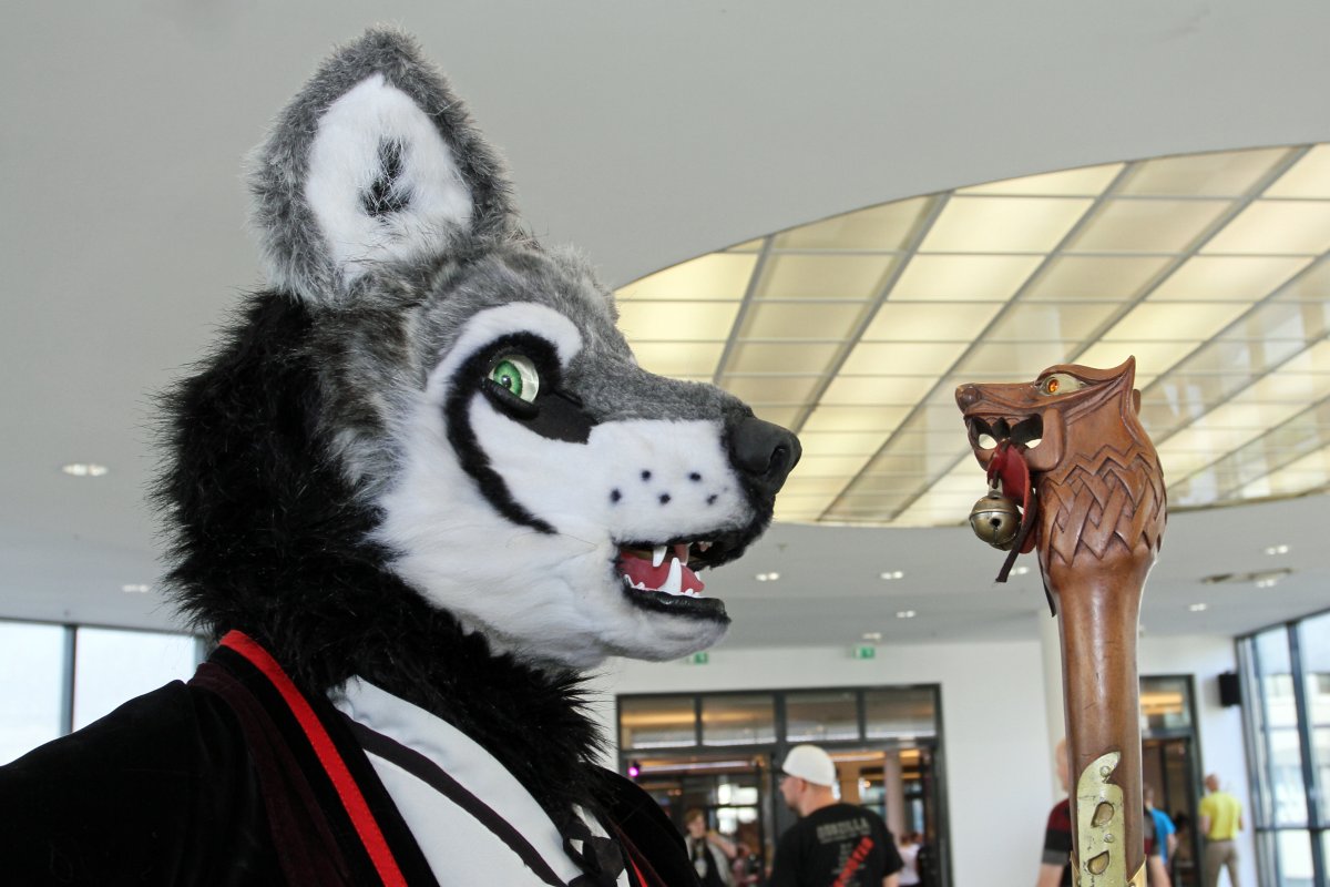 Eurofurence 22, Indoors