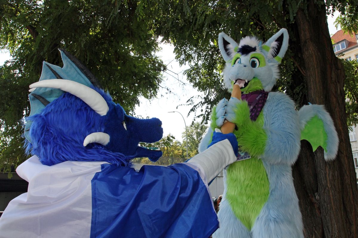 Eurofurence 22, Outdoors