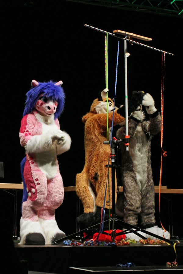 Eurofurence 22, Other photos