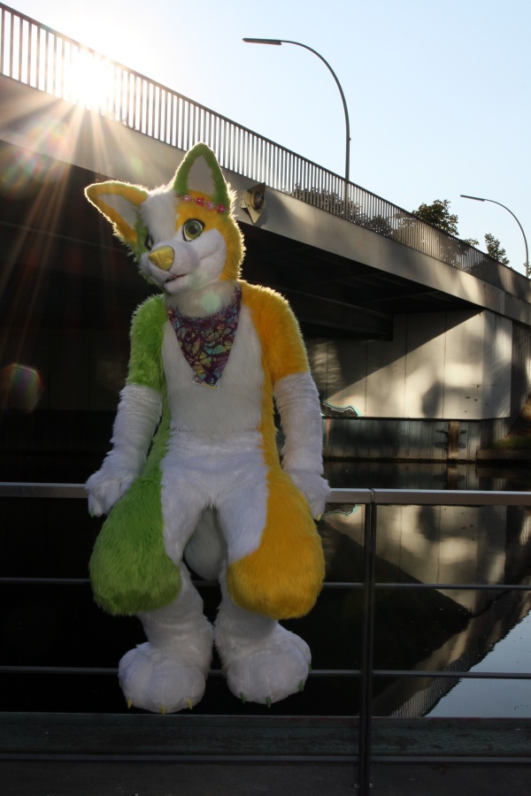 Eurofurence 22, Outdoors