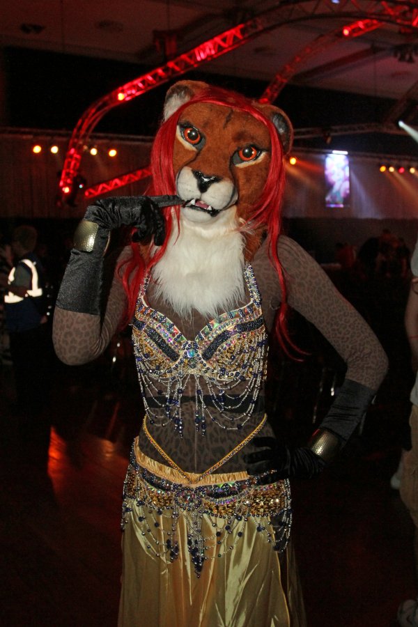 Eurofurence 22, Indoors