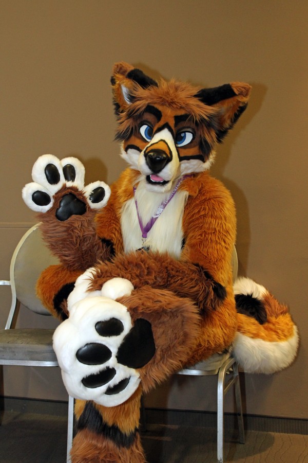Eurofurence 22, Indoors
