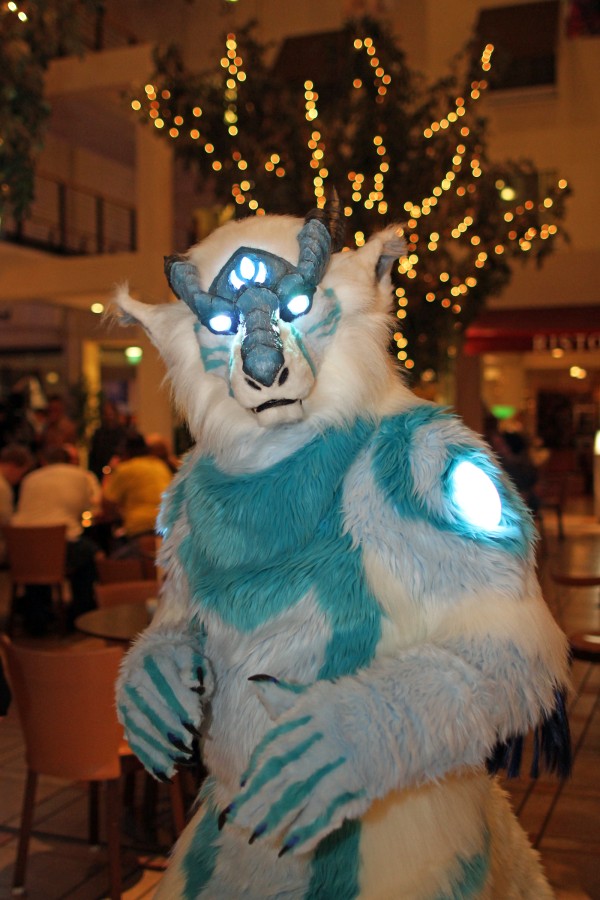 Eurofurence 22, Indoors