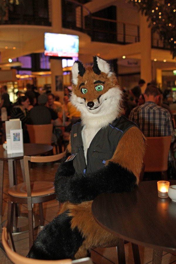 Eurofurence 22, Indoors