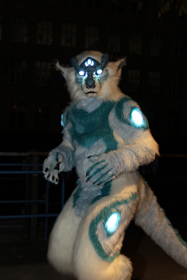 Eurofurence 22, Outdoors