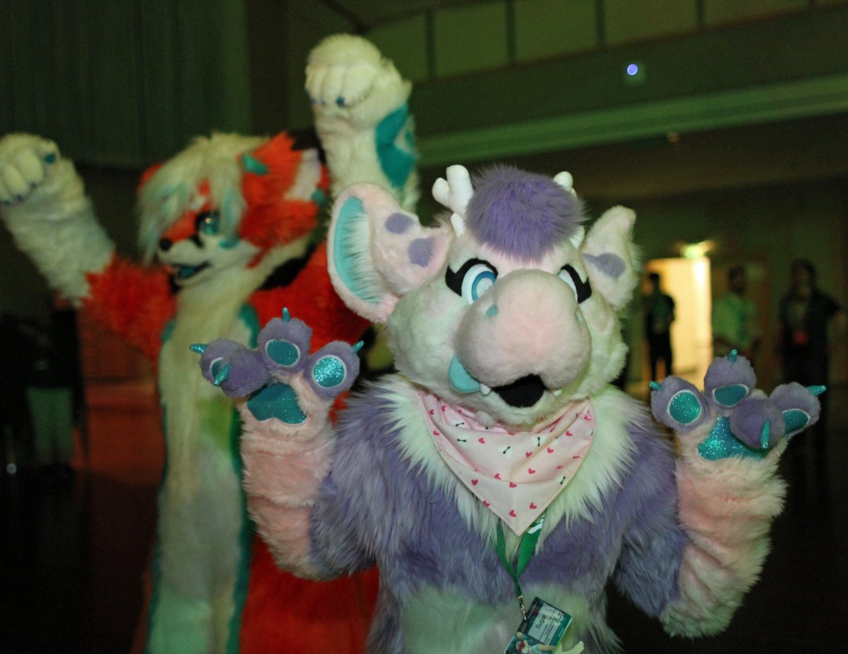 Eurofurence 22, Other photos