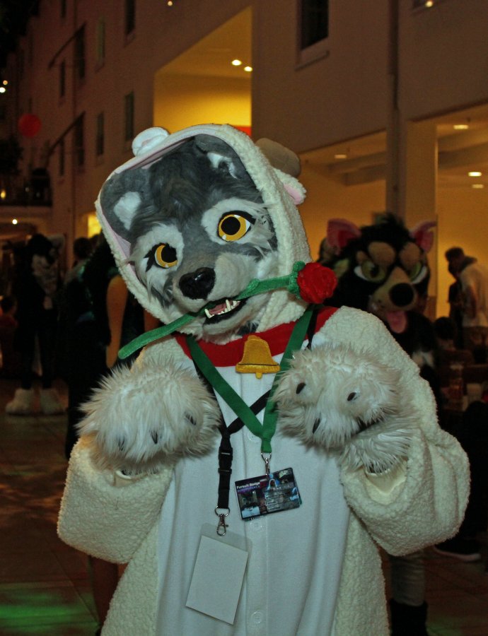 Eurofurence 22