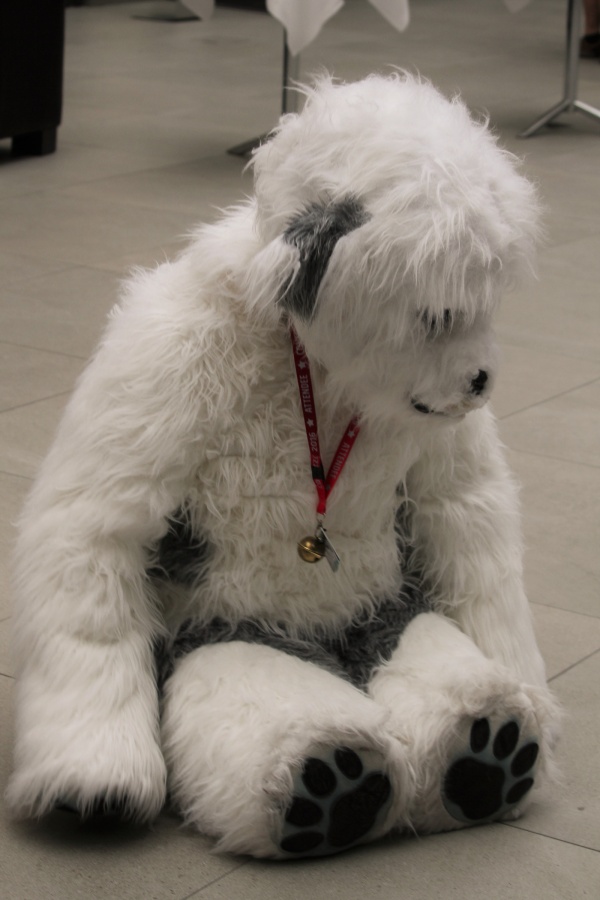 Eurofurence 22, Indoors