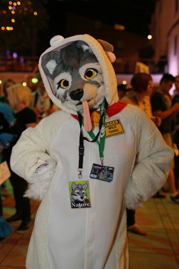 Eurofurence 22