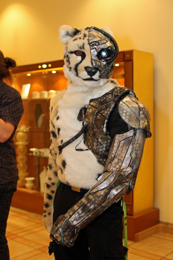 Eurofurence 22