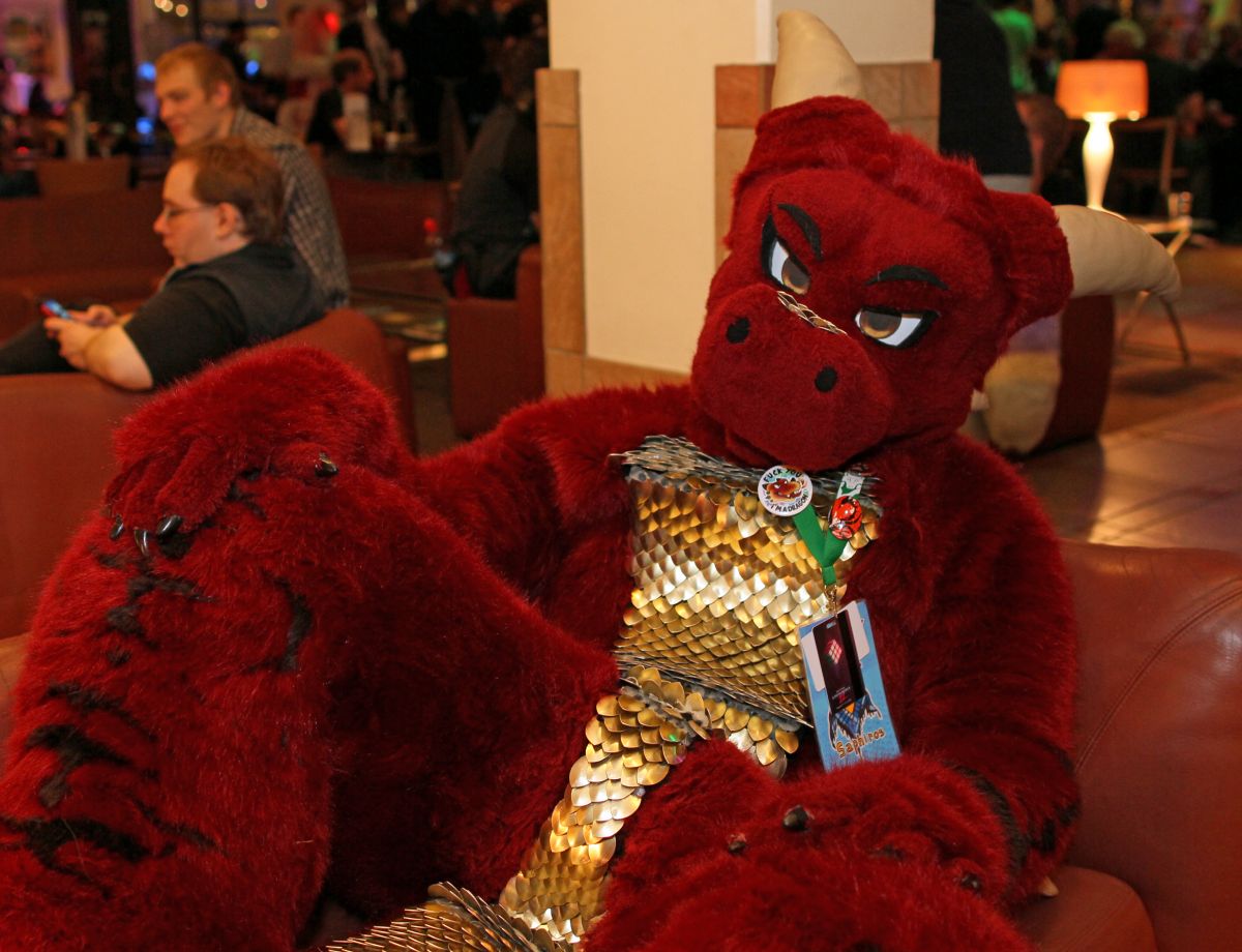 Eurofurence 22, Indoors