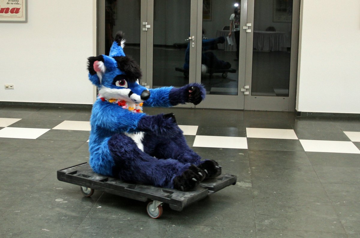 Eurofurence 22, Indoors