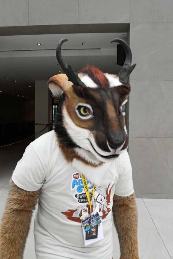 Eurofurence 22, Indoors