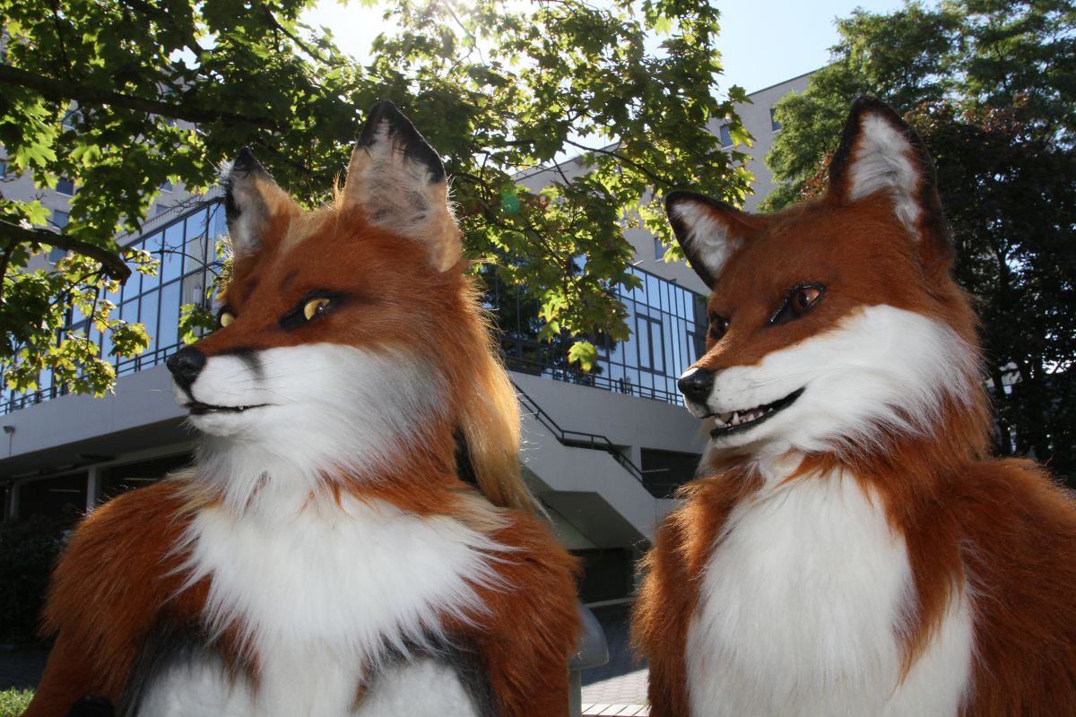 Eurofurence 22, Outdoors