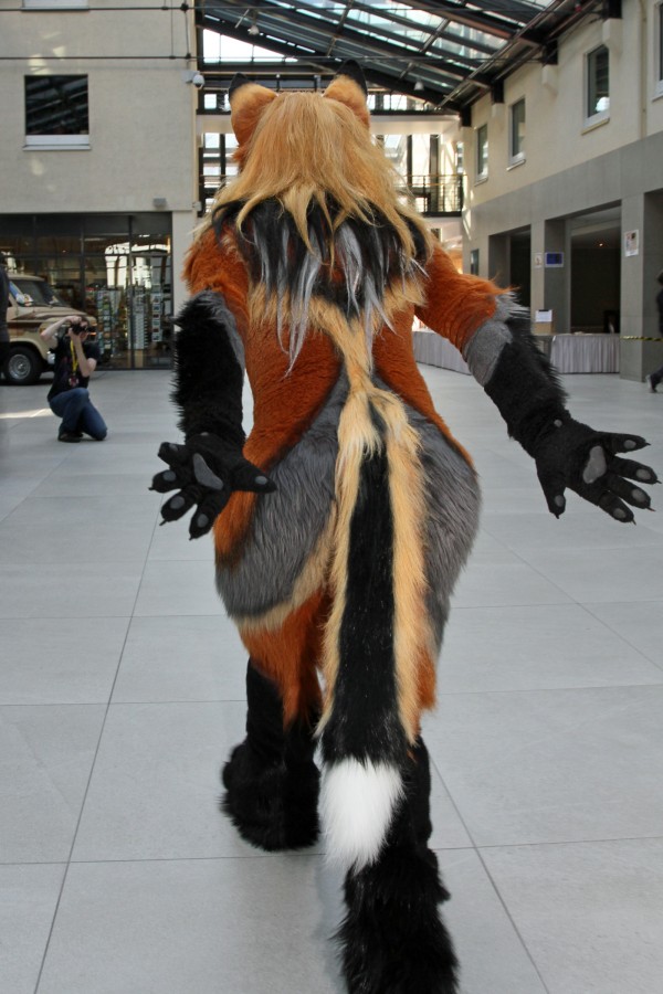 Eurofurence 22, Indoors