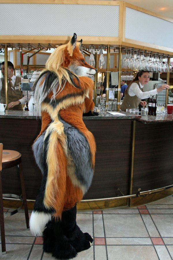 Eurofurence 22