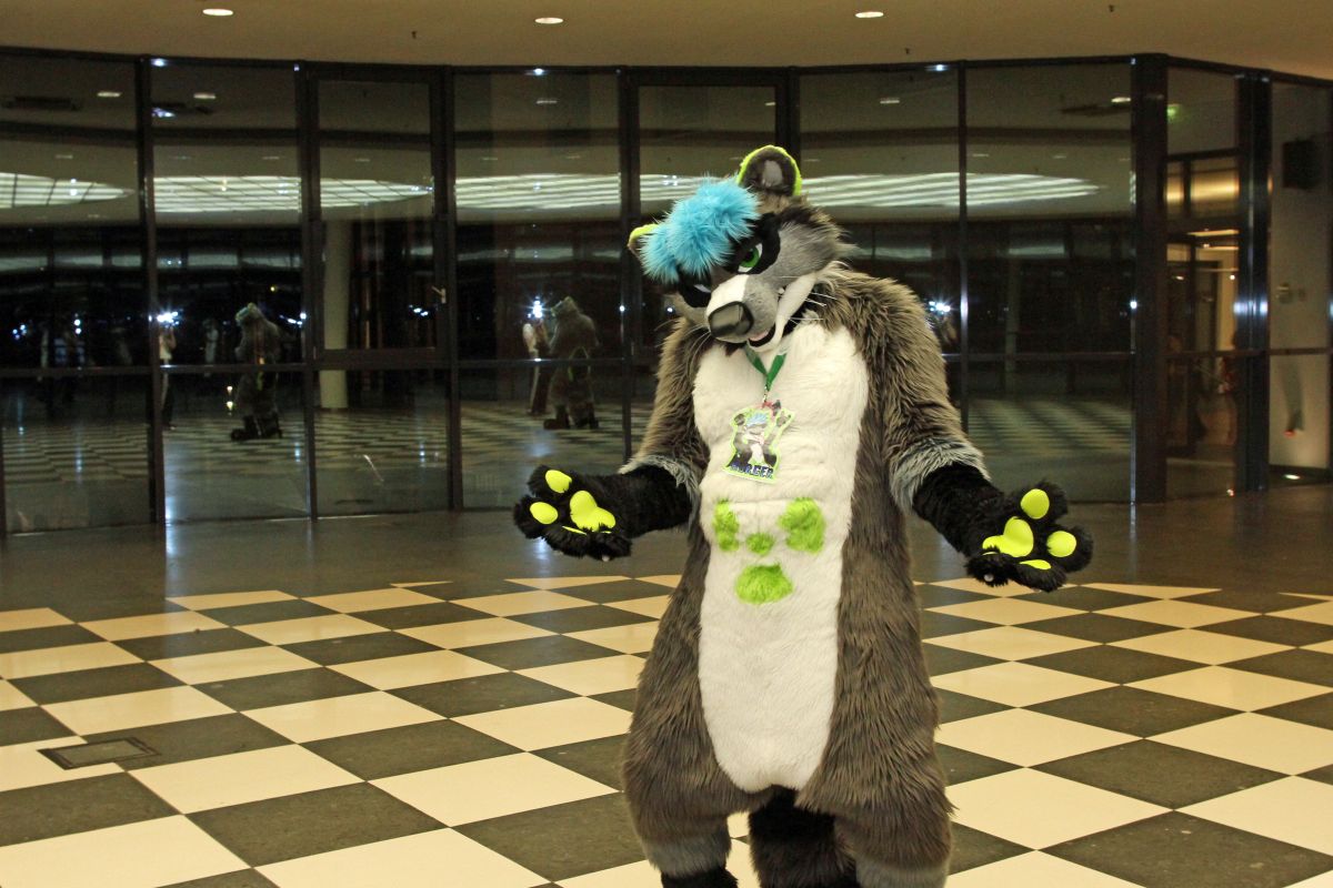 Eurofurence 22, Indoors