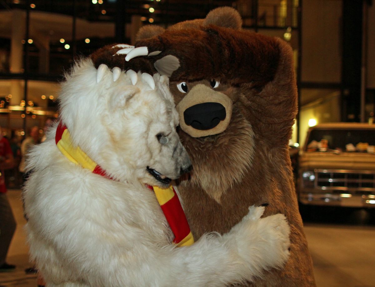 Eurofurence 22, Indoors